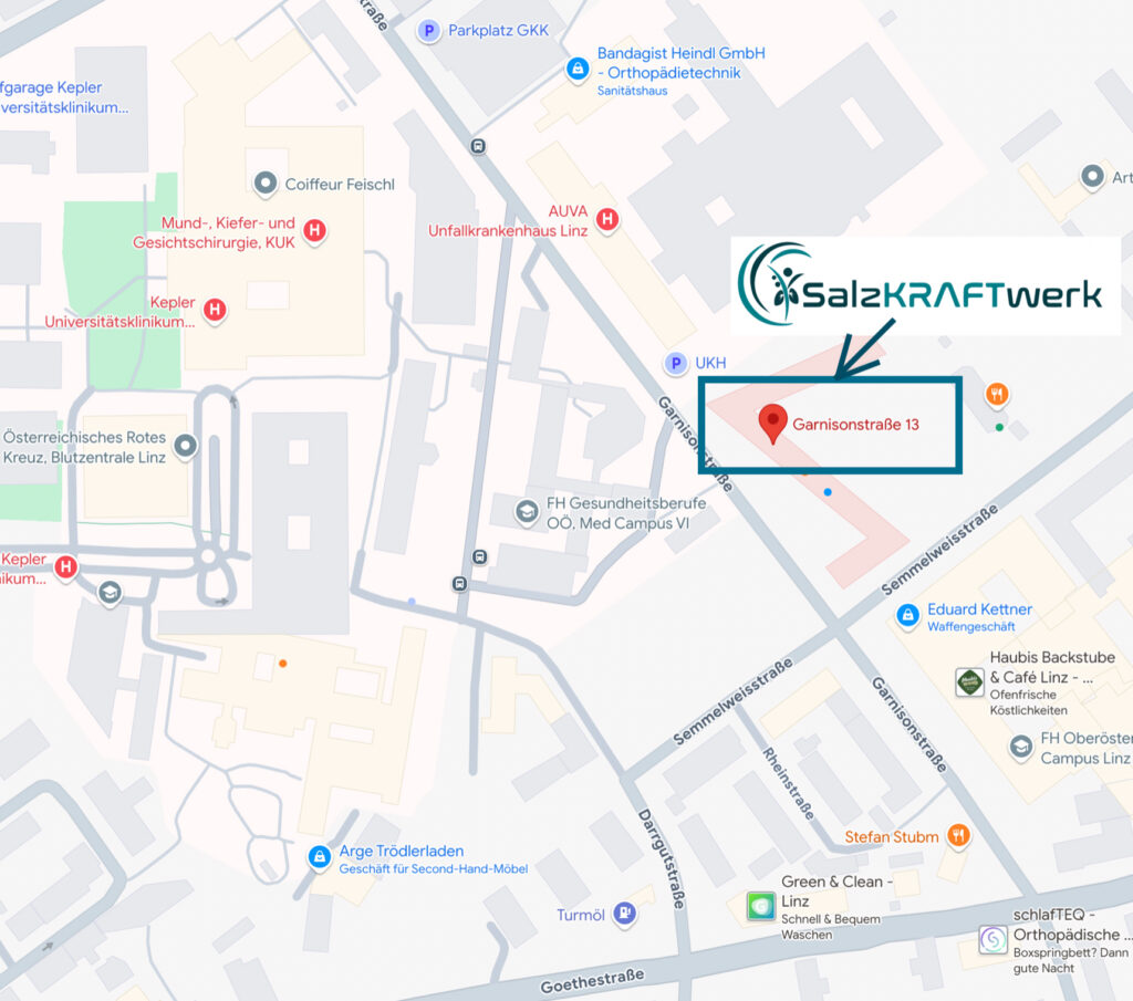 Salzkraftwerk Linz Plan, Maps